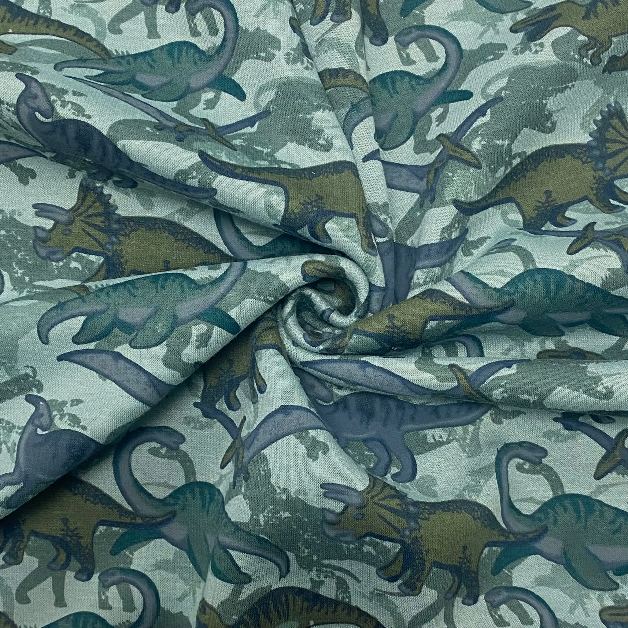 Dinosaurs Sweatshirt Fabric